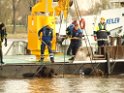 Bergung PKW im Rhein Hitdorfer Fähre P189431